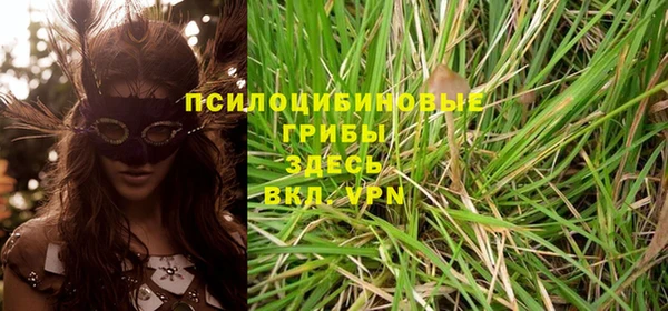мескалин Белокуриха