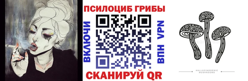 где купить наркотик  Курлово  Галлюциногенные грибы MAGIC MUSHROOMS 